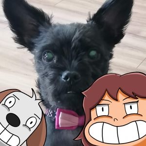 Meet your Posher, Denise